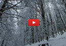 Neve in Abruzzo: FOTO e VIDEO della nevicata di questa notte a MARSIA (AQ)